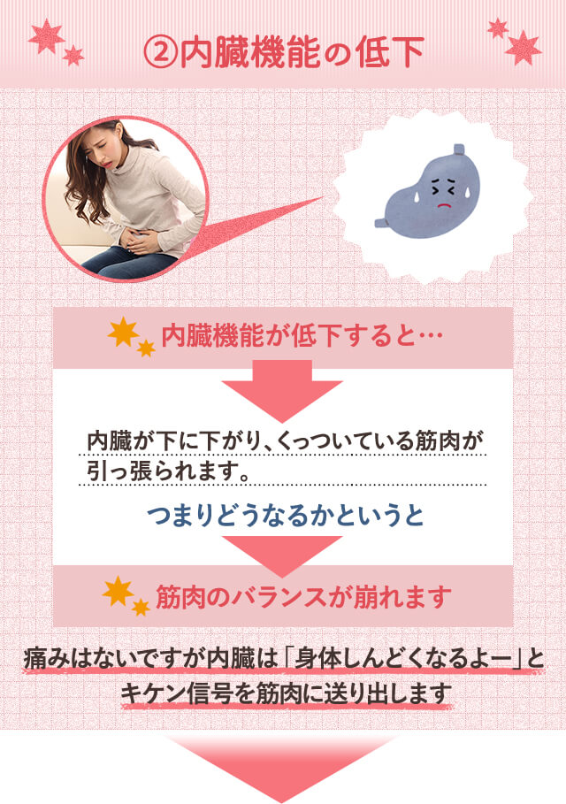 2.内臓機能の低下　内臓機能が低下すると…内臓が下に下がり、くっついている筋肉が引っ張られます。つまりどうなるかというと筋肉のバランスが崩れます　痛みはないですが内臓は「身体しんどくなるよー」と キケン信号を筋肉に送り出します